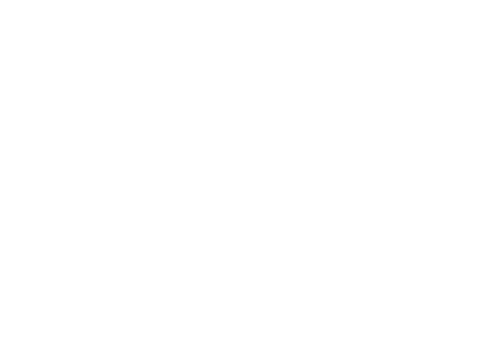 Partenaire 1