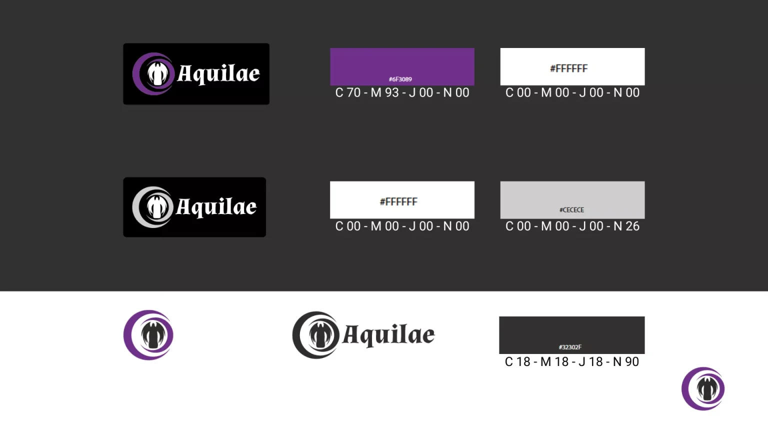 Palette couleur projet Aquilae portfolio François THO