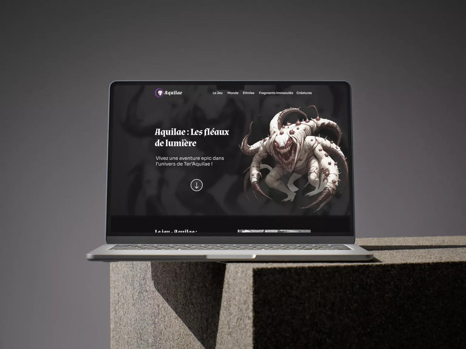 Mockup site web projet Aquilae portfolio François THO